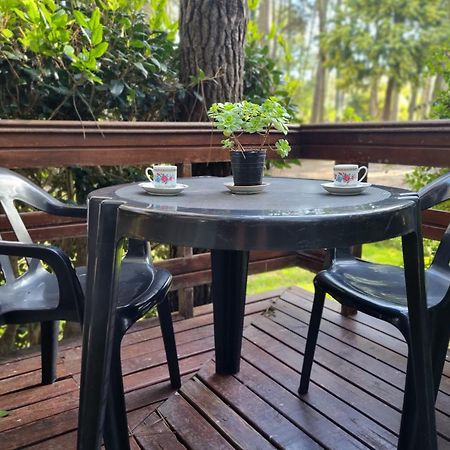 Cabanas Hurra Pampa 마르 데 라스 팜파스 외부 사진